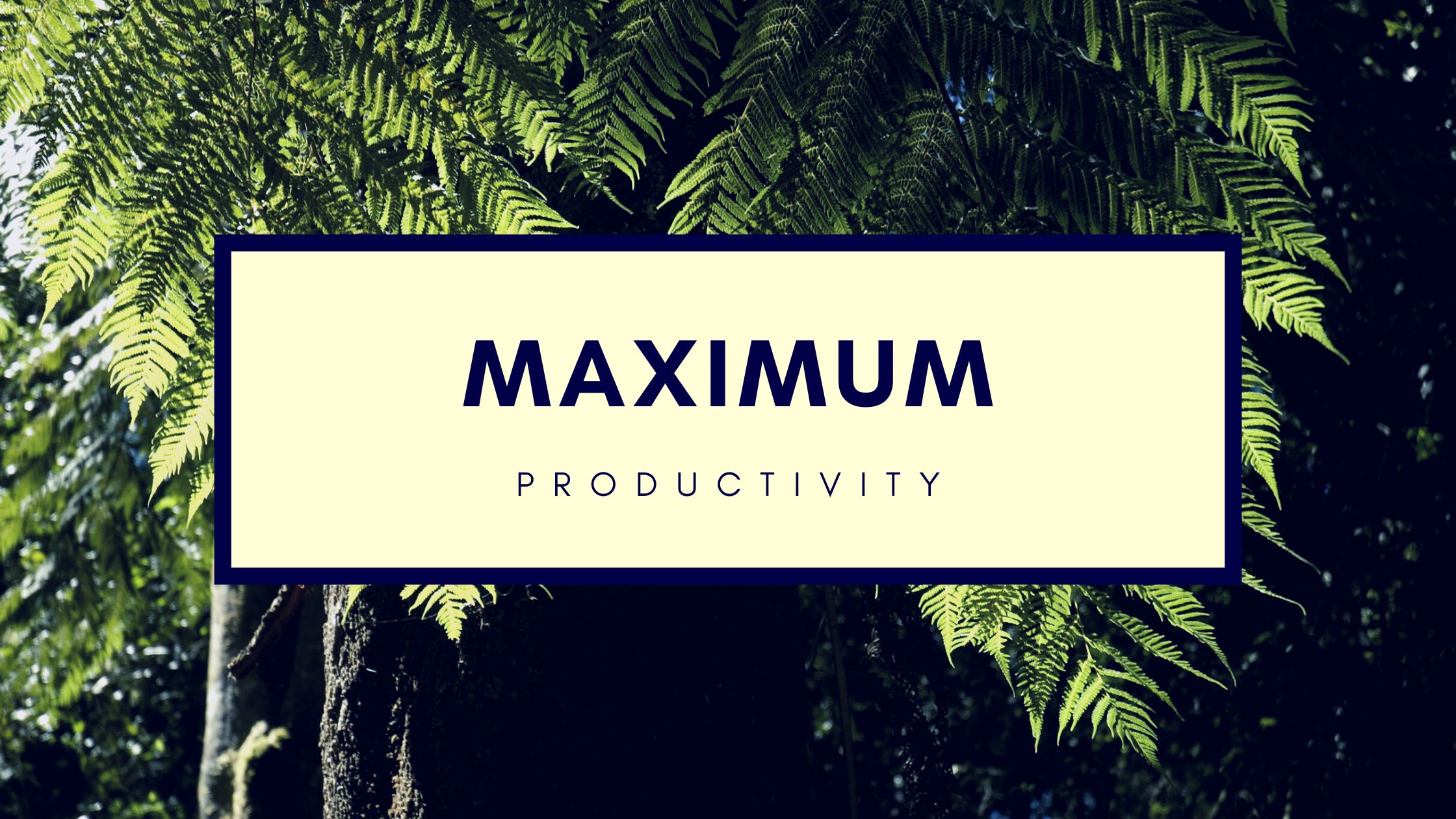 Maximum Productivity - 2024