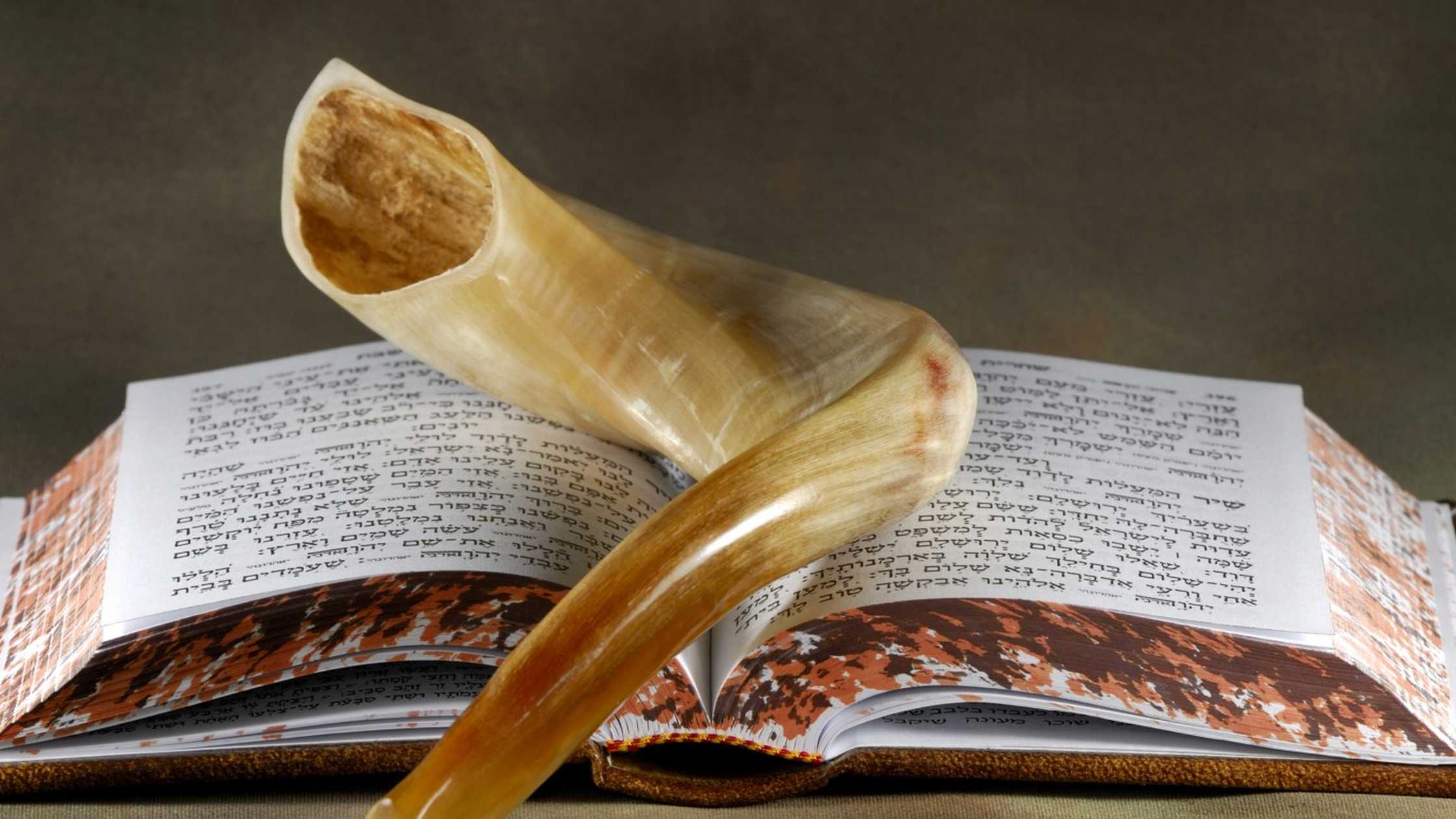 How to Stay Above Deception Part 21