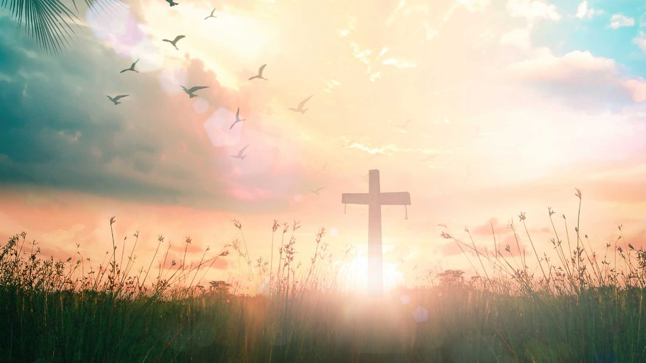 The Resurrected Ones