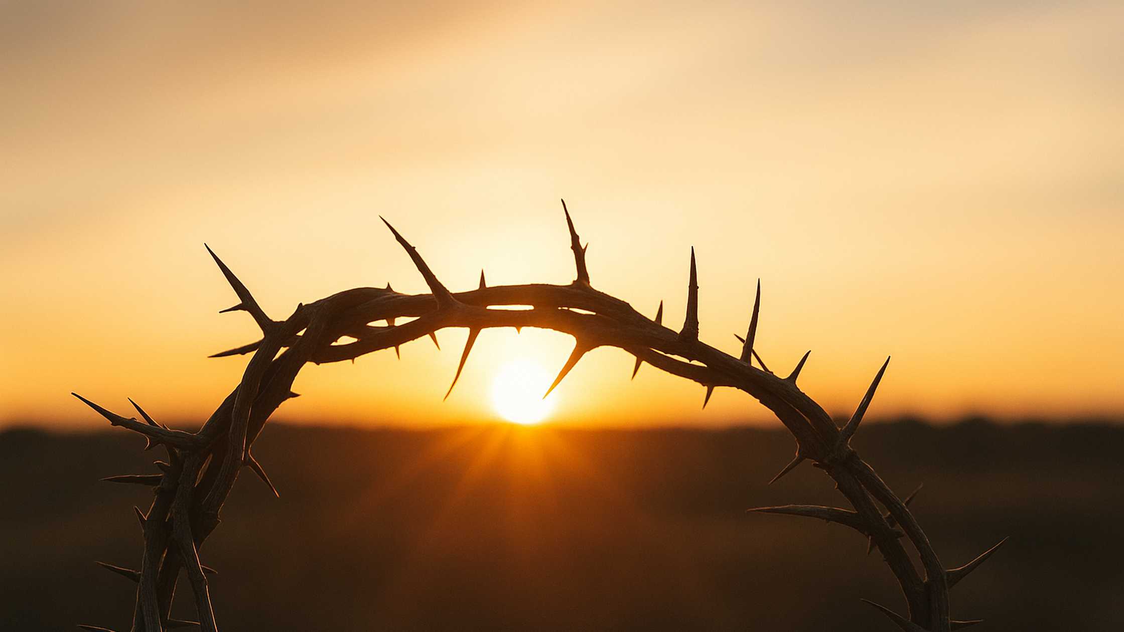 The Life of Christ in You