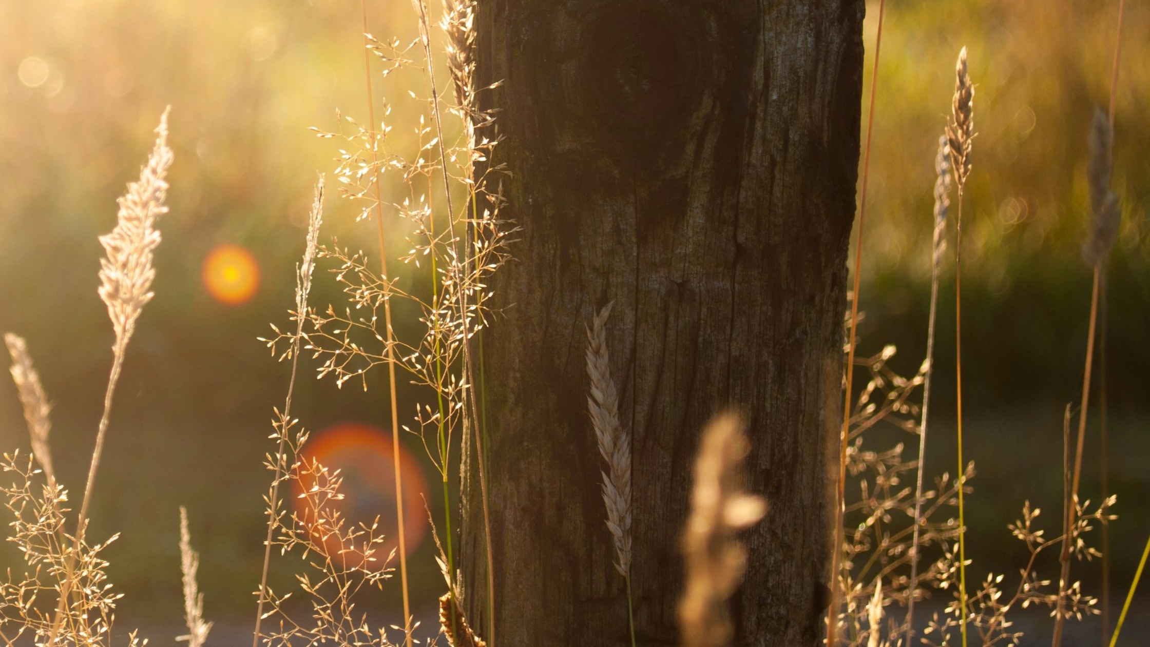 The Mystery of Christ Revealed part two