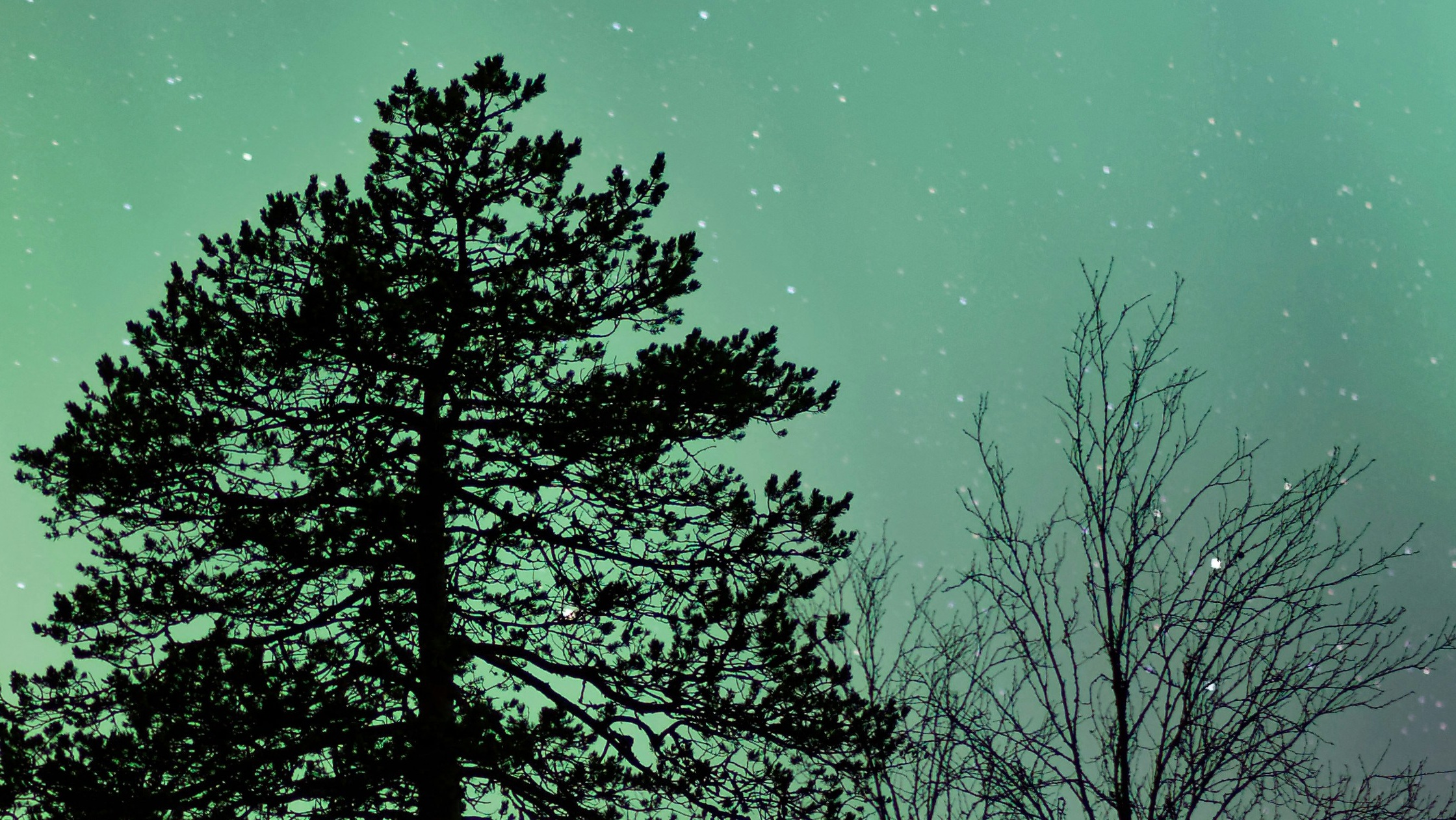 The New Creation Spirit