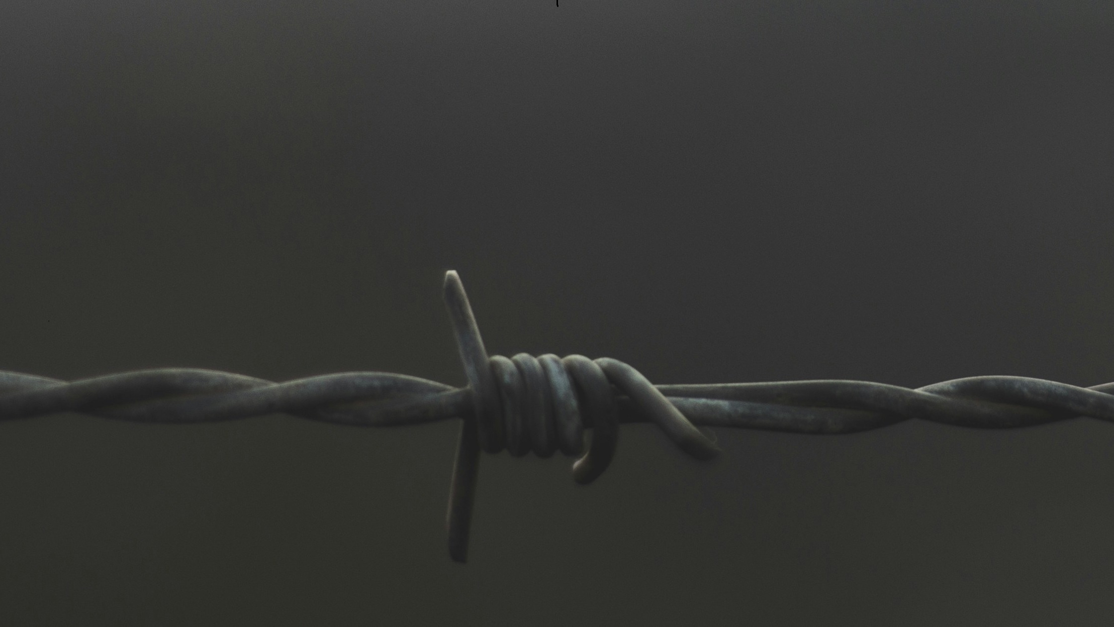 Limitless Possibilities