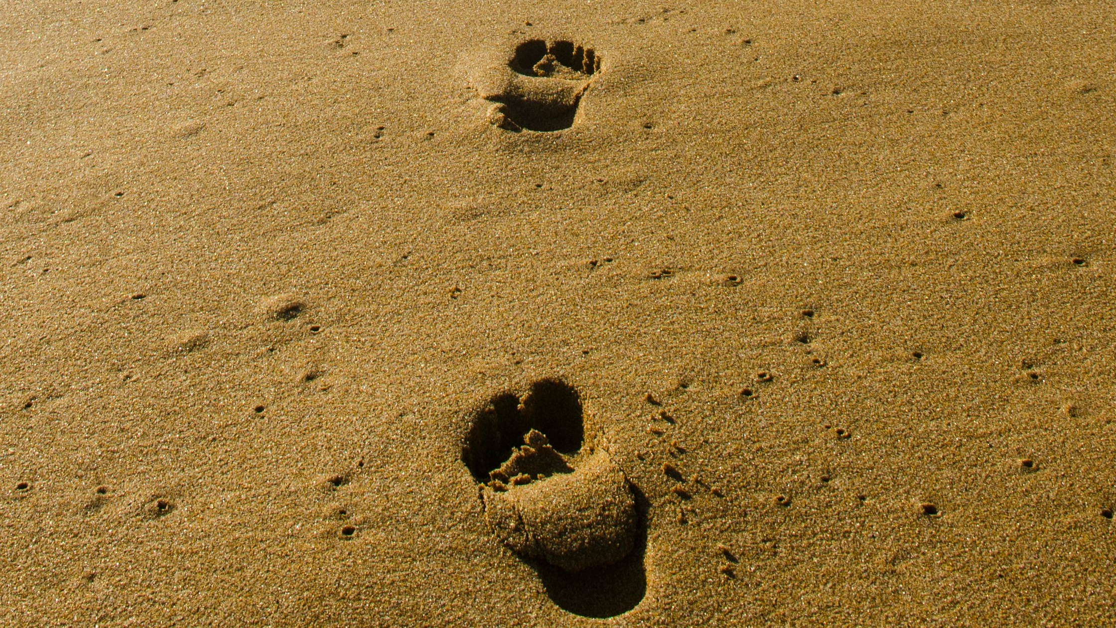 My Grace Journey...2