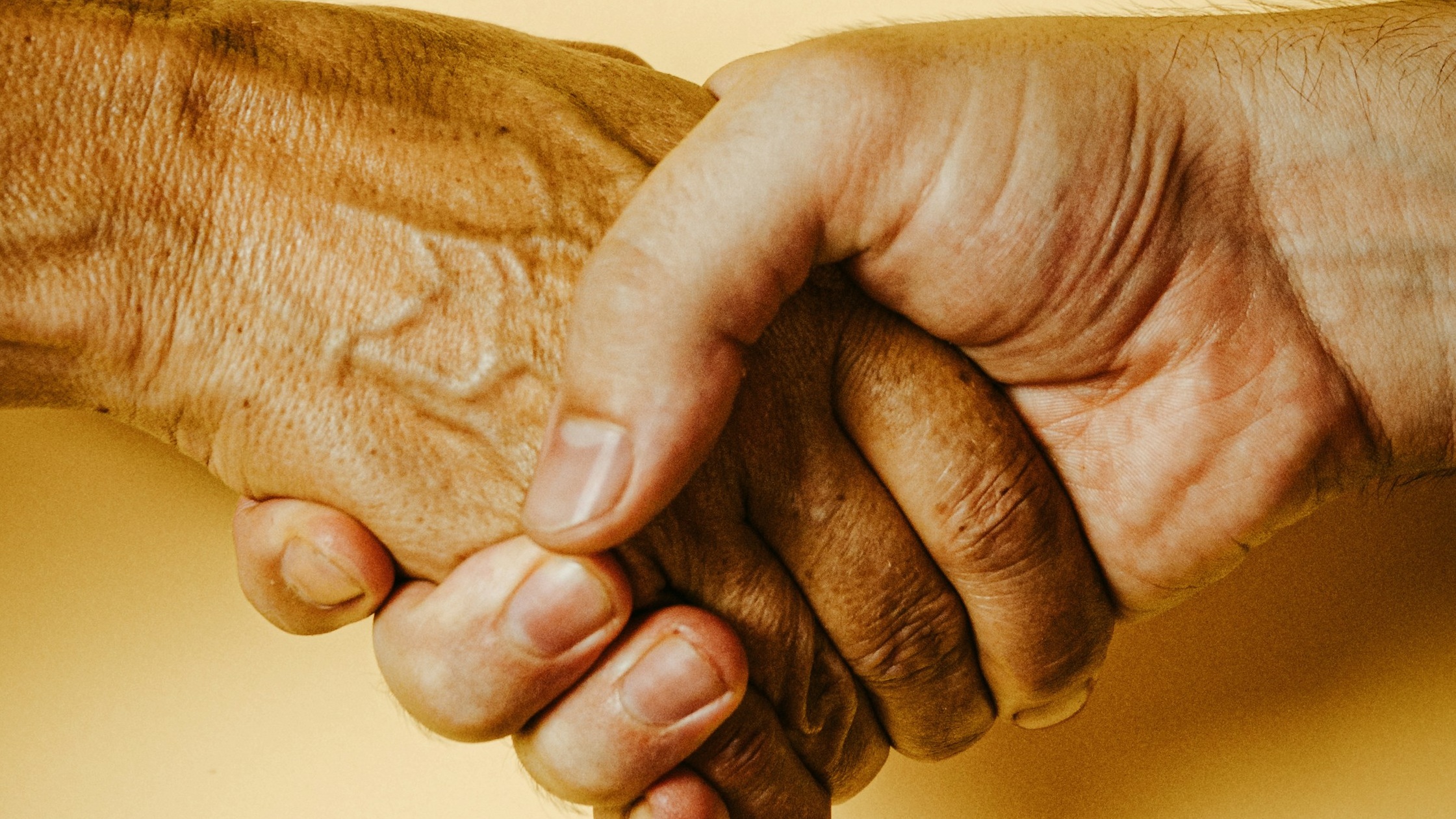 A Fruitful Life: Faith Without Works