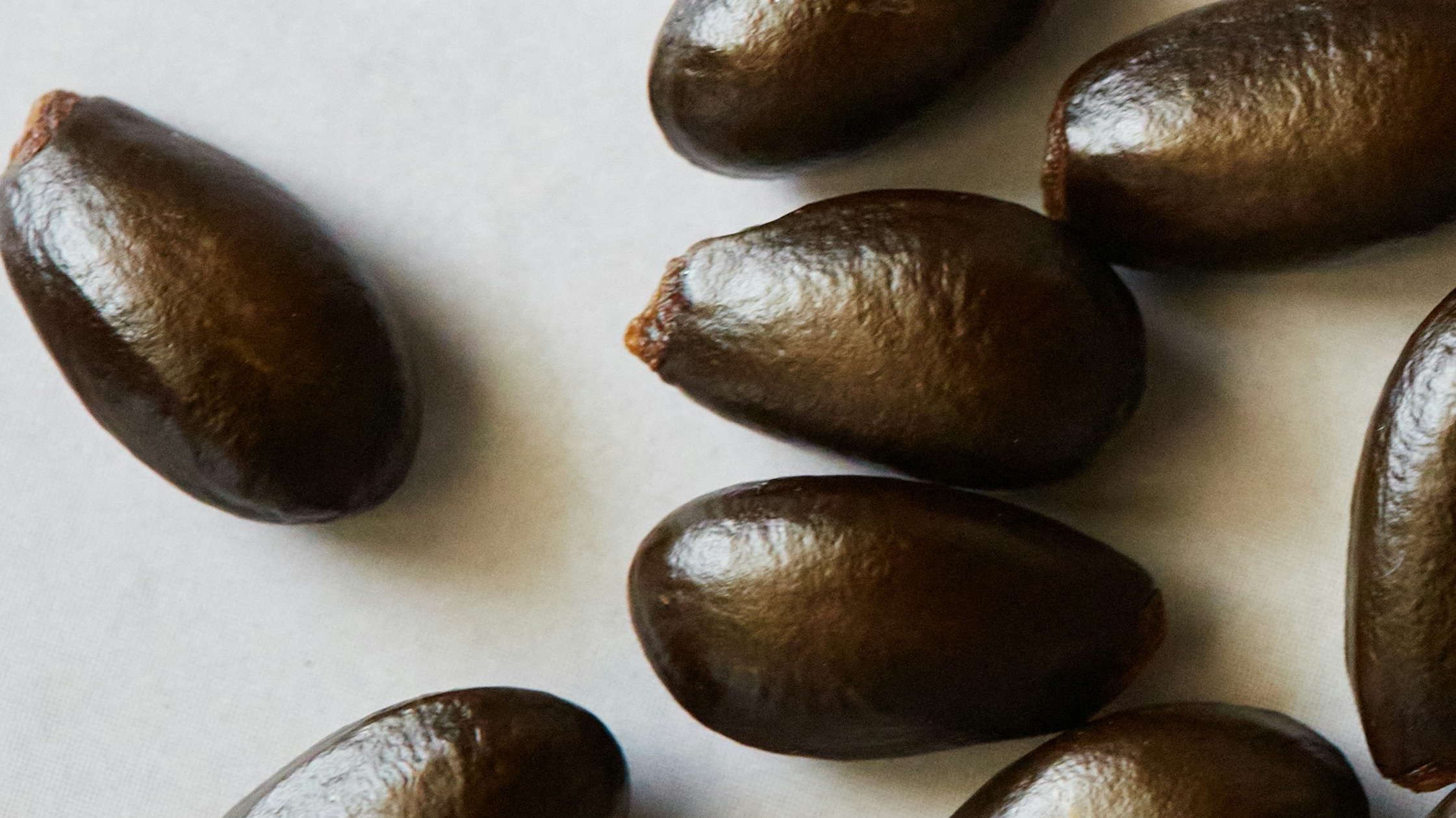 A Fruitful Life: Word Seeds