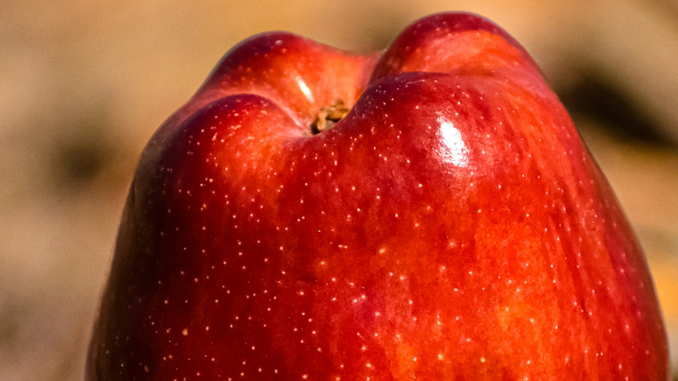 Temptation Is Not Sin