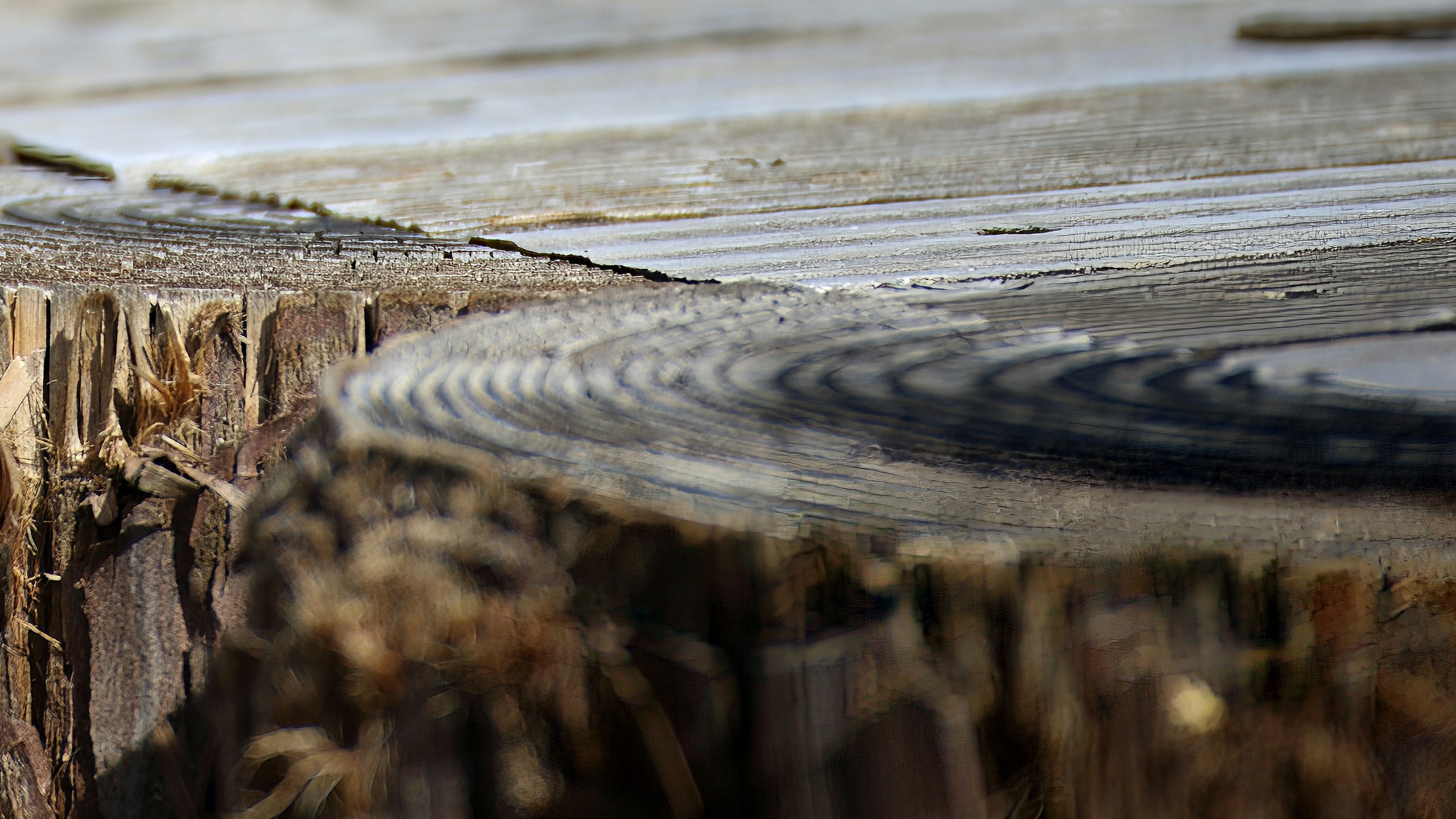 The Righteous Live By Faith