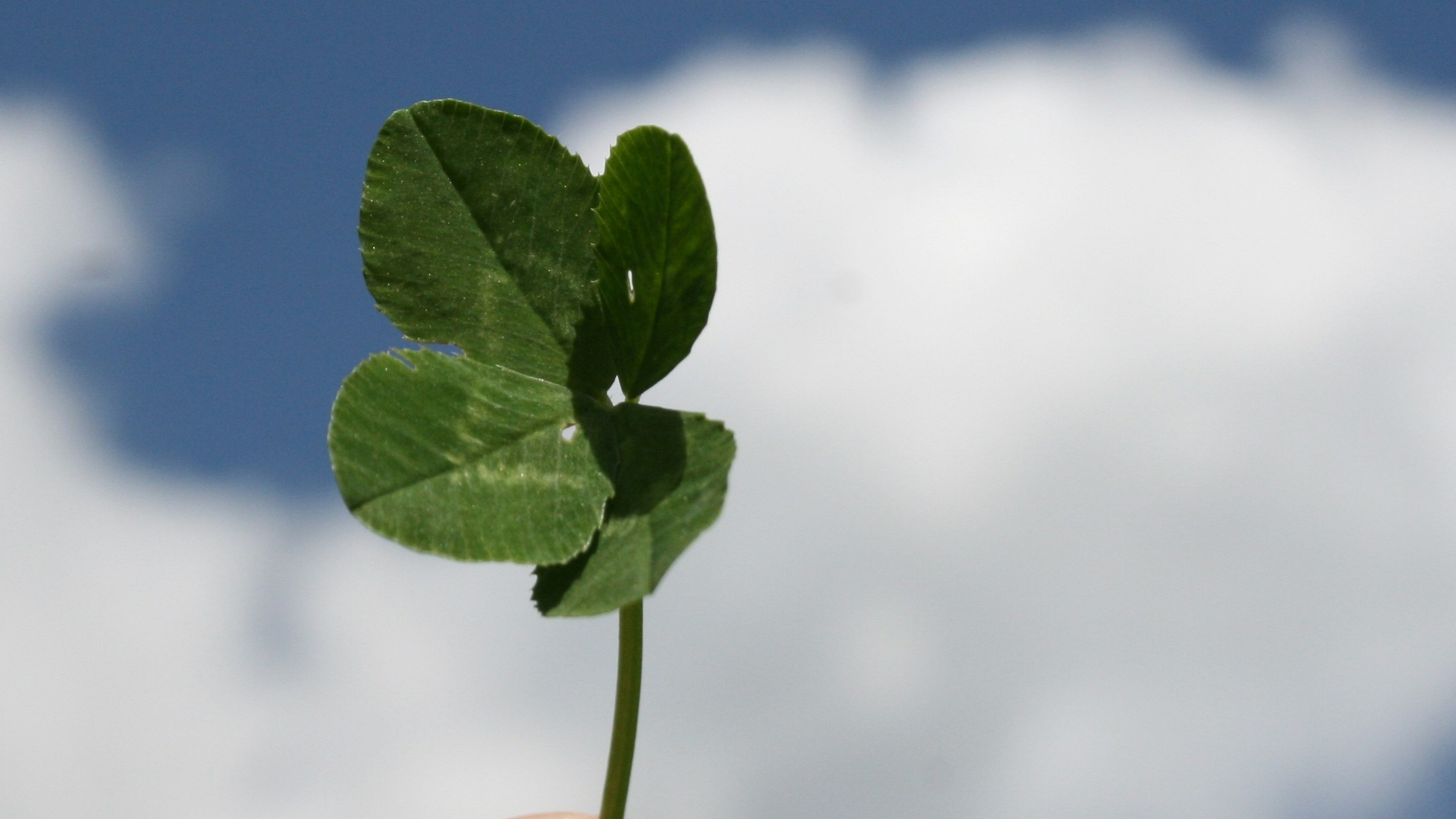 Super Abundantly Blessed