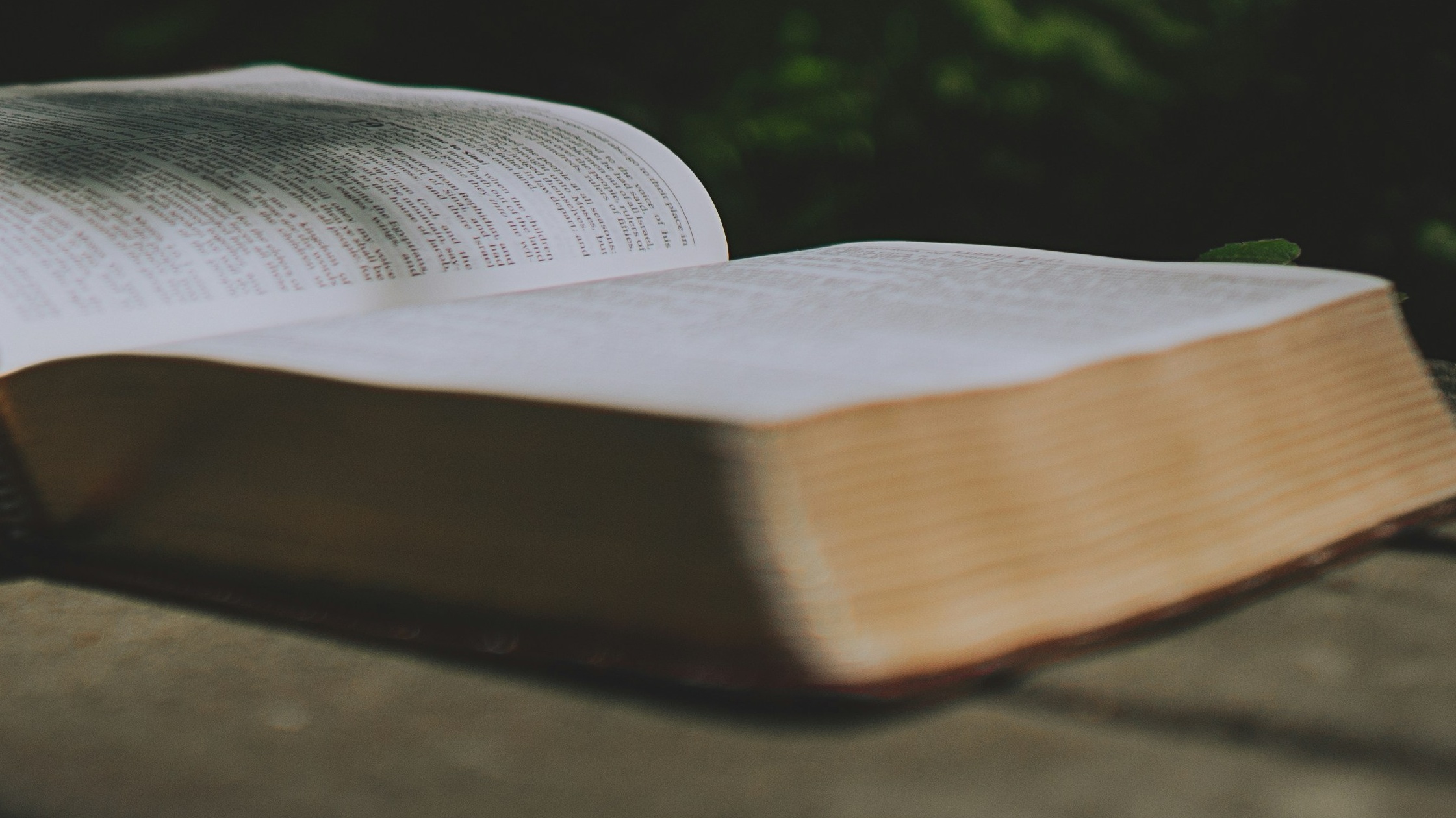 The Content of Gospel