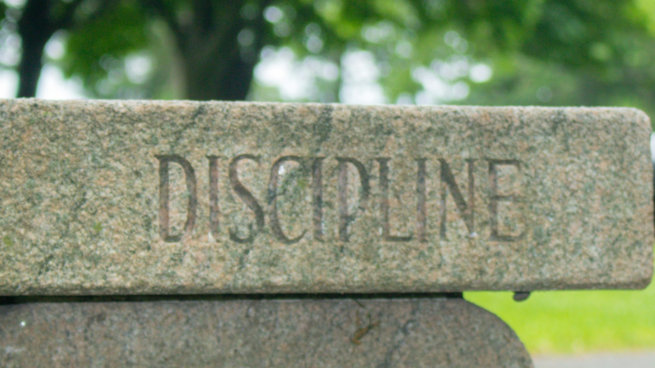 Discipline For Success