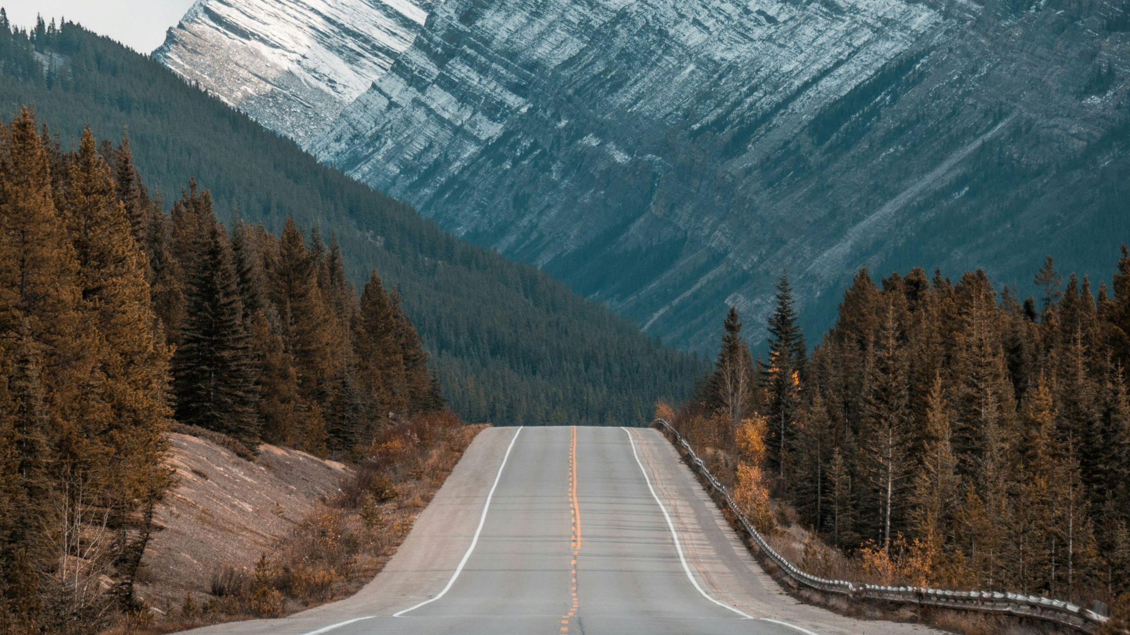 Christ Is The Answer