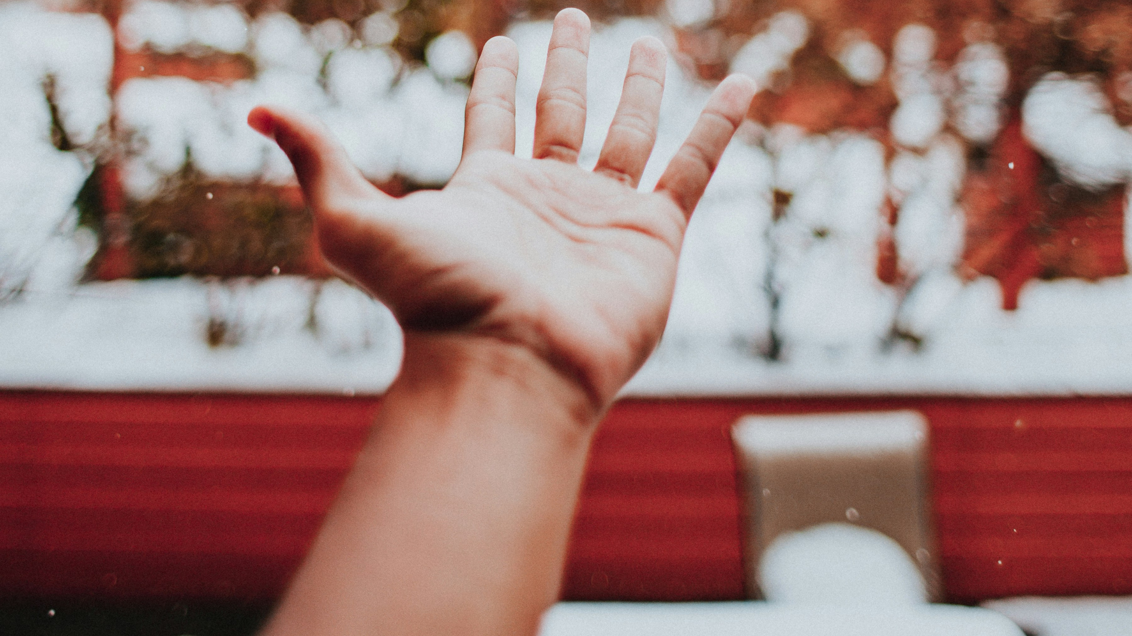 My Father, My Father, Why Have You Accepted Me?