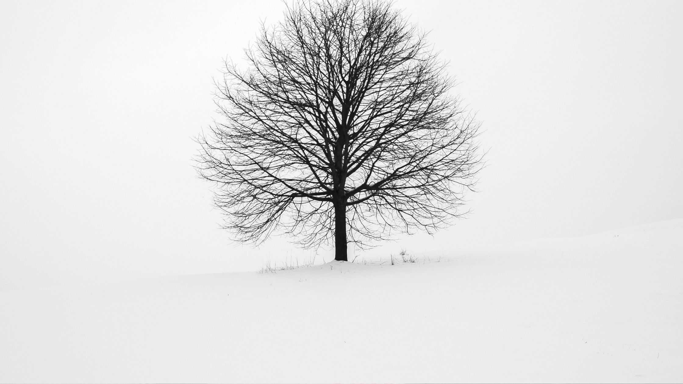 Authority Over Nature