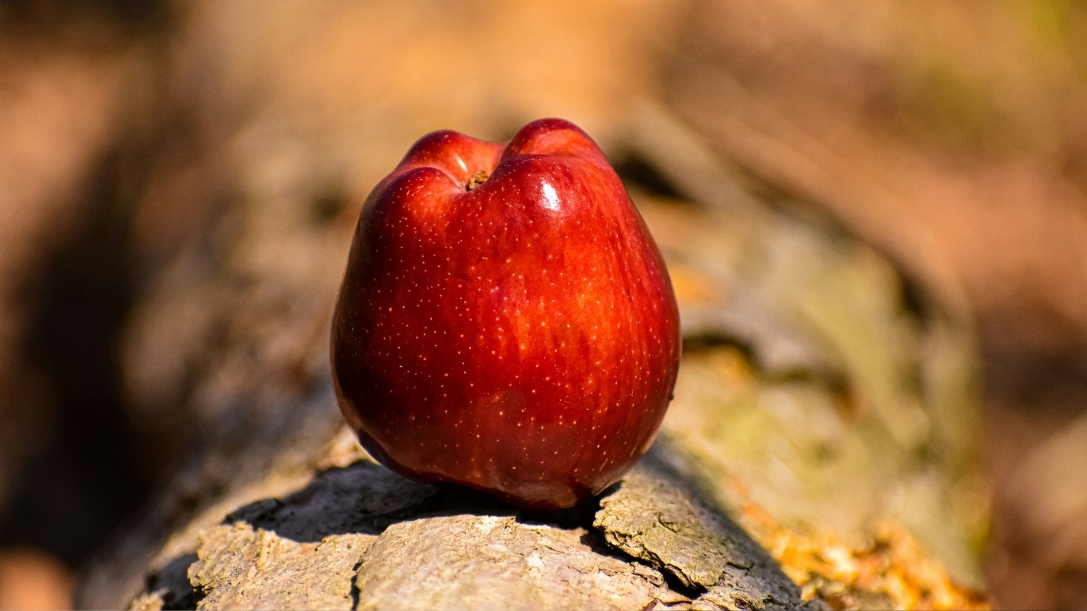 How To Overcome Temptation
